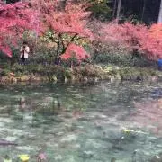 らはーるの画像