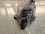 まっつーの画像