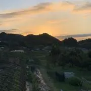 ネボ