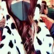 きいの画像
