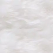 まなの画像