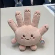 タラの画像