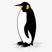 皇帝ペンギンに抱きつきたいの画像