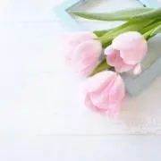 uの画像