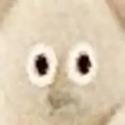 礼の画像