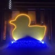 千鳥の画像