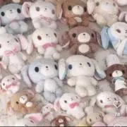 ももちゃん