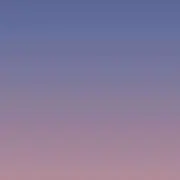山芋の天ぷらの画像