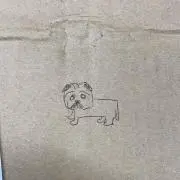 ちゅけの画像