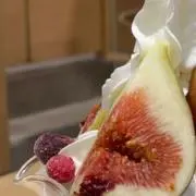 わらびの画像
