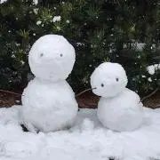 じばこまの画像