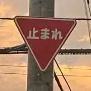 まとめ買い大値引き　ピ朝の画像
