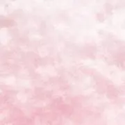 ねもも＠プロフィール必読✴︎次8/24の画像