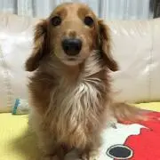ゆっこ