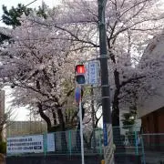ヒカル