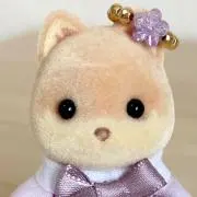 ともまの画像