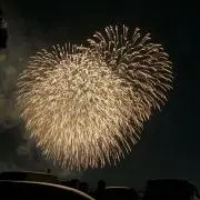 ねこの画像