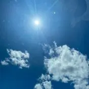 てんとう虫の画像