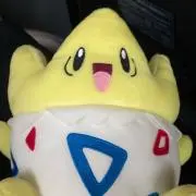 Rの画像