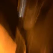 お茶