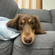 ひかひかの画像