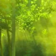 HS☆の画像