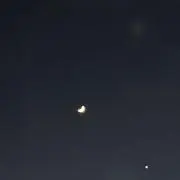 ききの画像