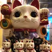micatの画像