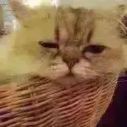 R♡の画像