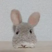 ラビット8の画像