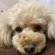 みっちゃん