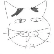 スージーの画像