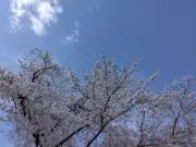 じゅんじゅんの画像