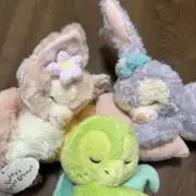 mimiの画像