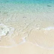 nicottoの画像