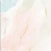 m◆紹介文必須◆の画像