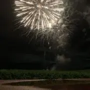 しゅの画像