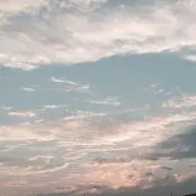 さーとん！