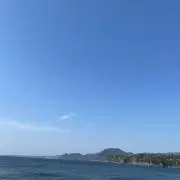 たこの画像