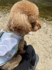 dai～お急ぎご相談ください(*^^*)の画像