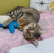 フイさんの画像