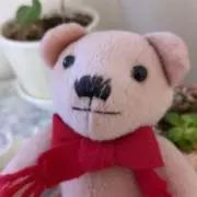 こうこの画像