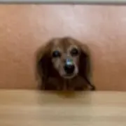 Yノリ