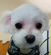 ミニロトの画像