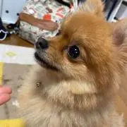 ひろき