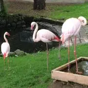 keyiの画像