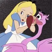 フラの画像