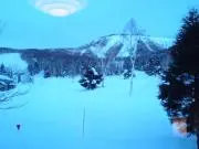 kuminの画像