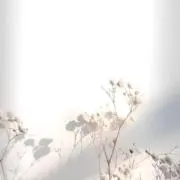 花子の画像
