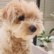 smilyの画像